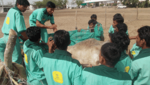 Compassionate Care For Rural Animals