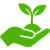 echofy